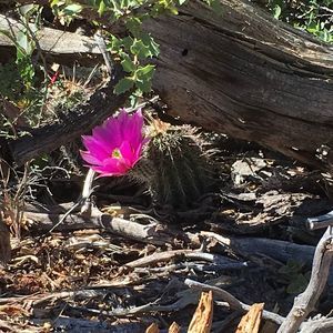 Meet your Posher, Lee